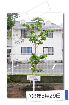 '08年5月29日