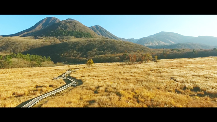 黄金色の九重の風景