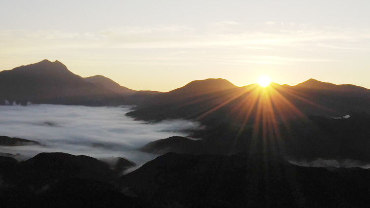 由布市の雲海