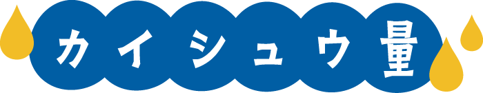 カイシュウ量
