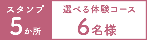 選べる体験コース