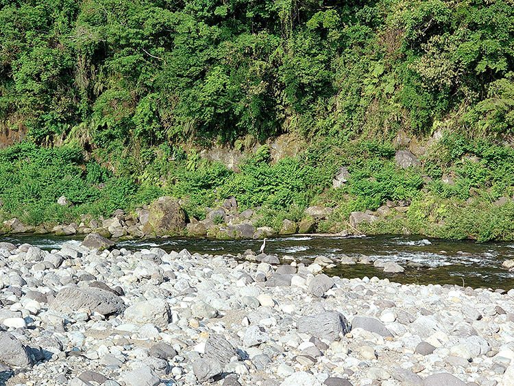 河宇田湧水