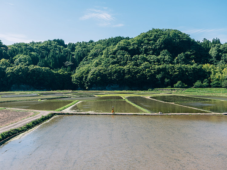 緒方川と緒方盆地の農村景観