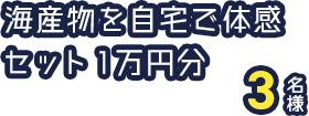 海産物を自宅で体感セット 1万円分 3名様
