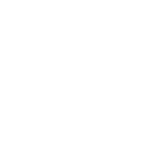 Noahのロゴ