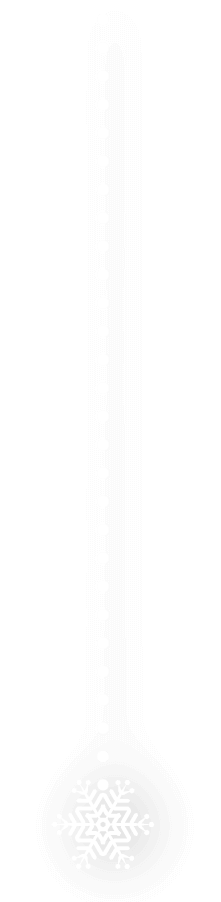 オーナメント1