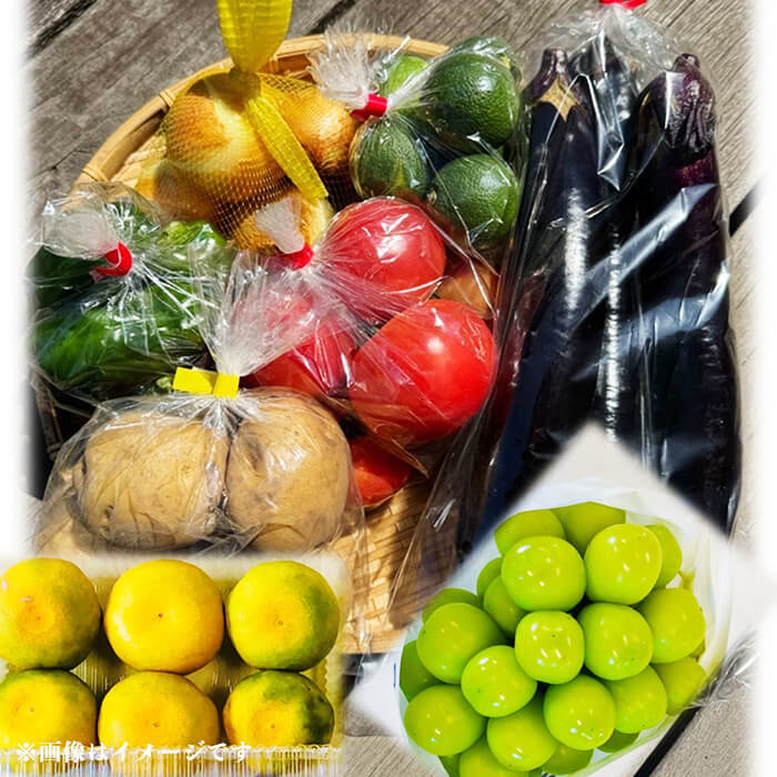 農大の果樹と野菜