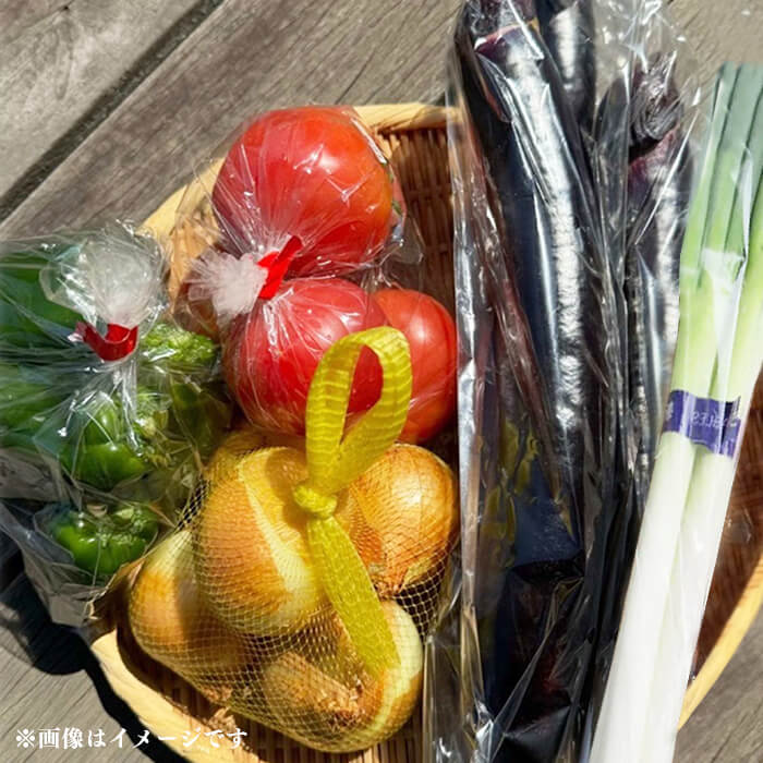 農大の野菜