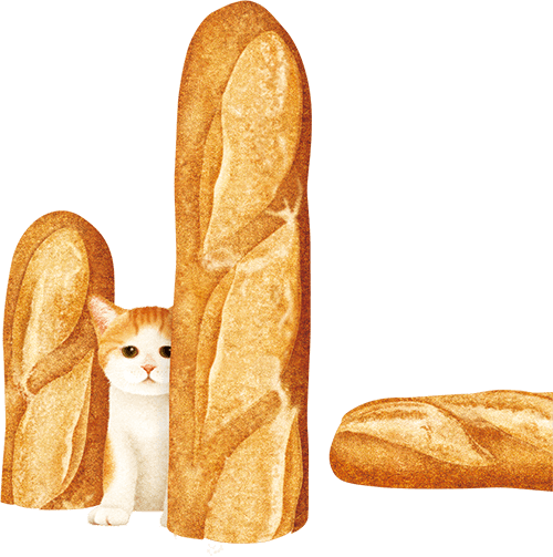 フランスパンと子猫