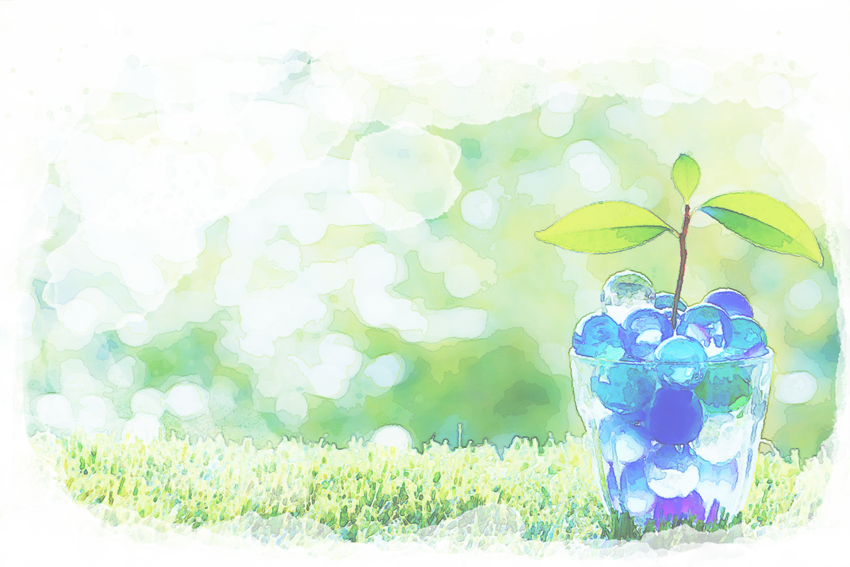 さわやかな植物の画像