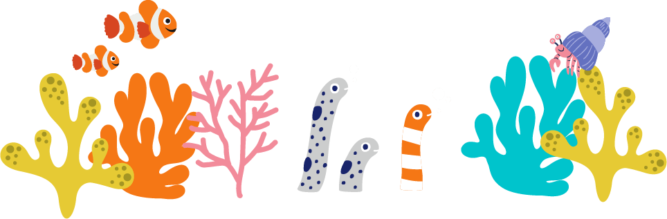 海の底のサンゴ礁