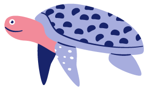 カメ
