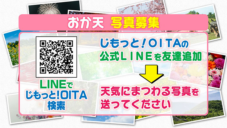 おか天 写真募集