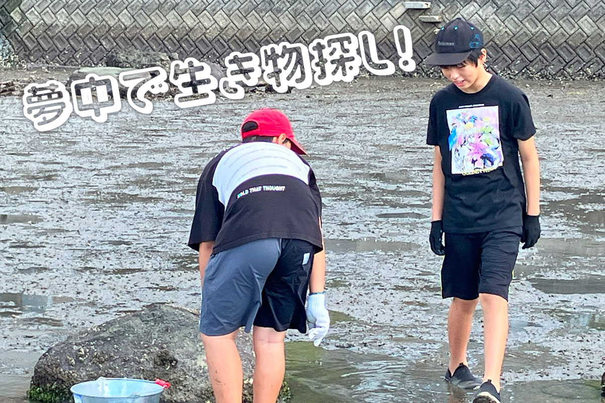カブトガニを乗せた手