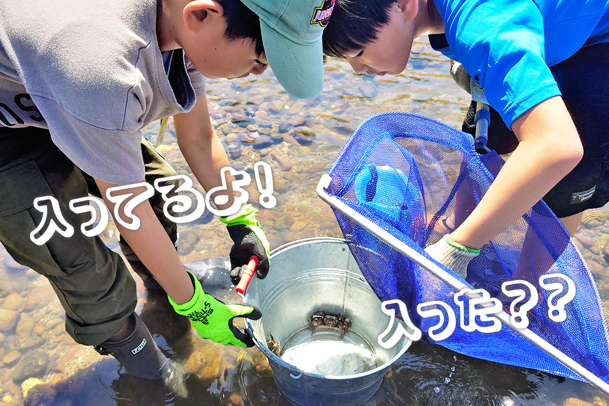 カニを捕まえる子どもたち