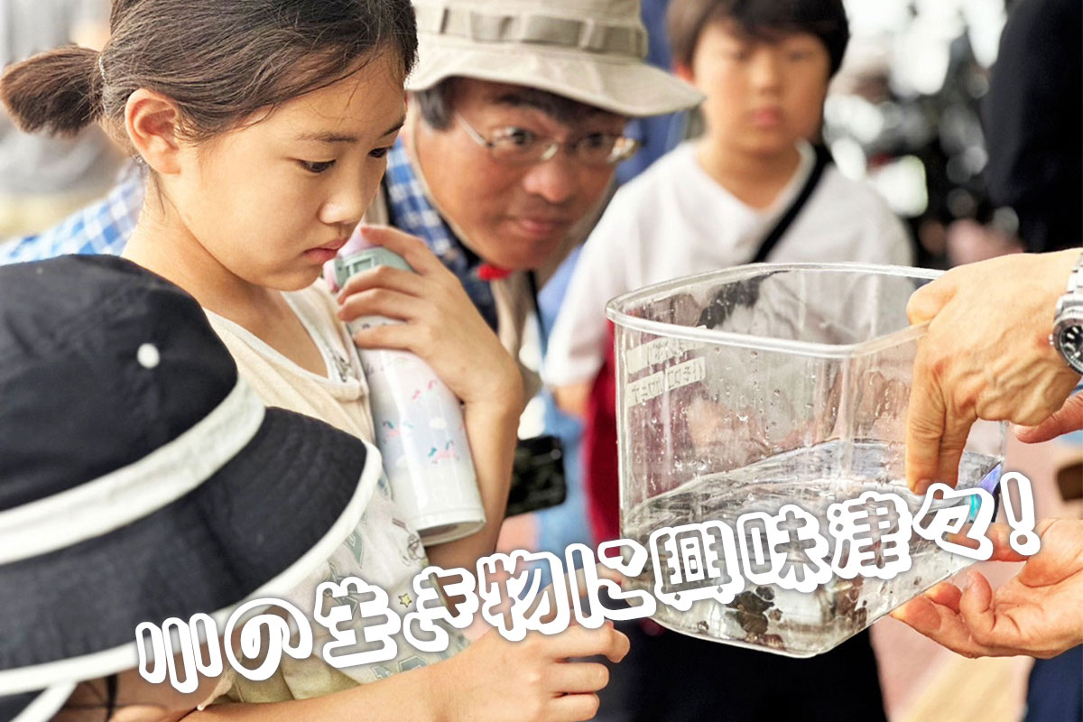水槽の魚を観察