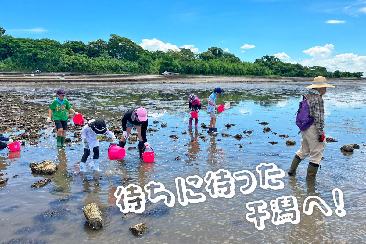 干潟を歩き回る子どもたち