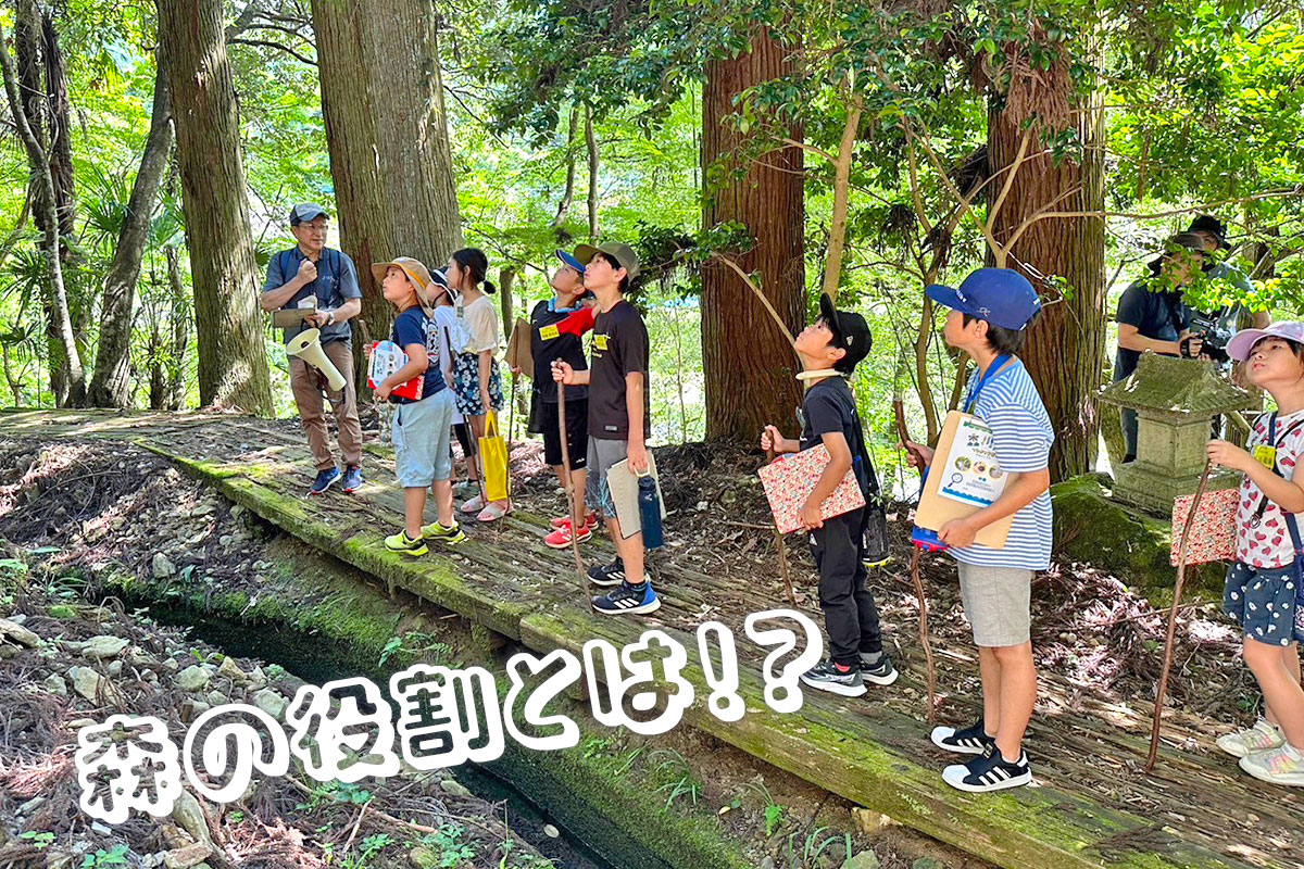 森林の中で説明を聞く子どもたち