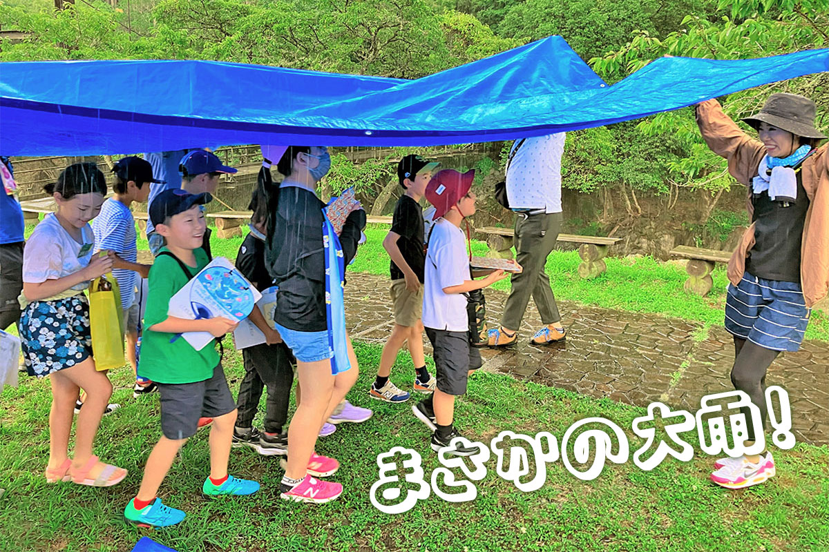 シートの屋根で雨を避けながら大移動
