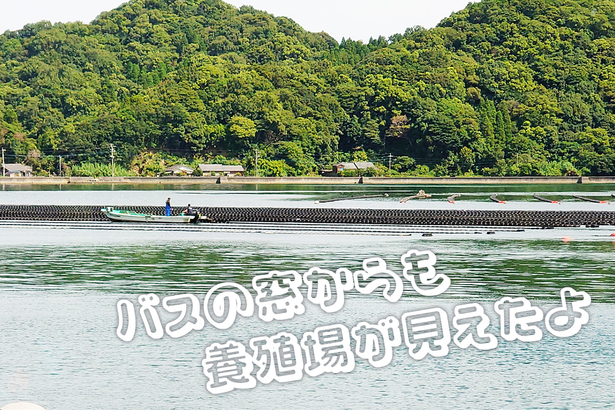 カキの養殖について説明