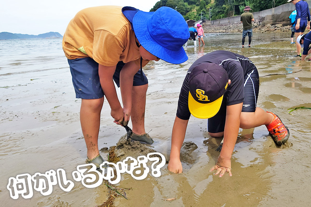 土を掘る男の子たち