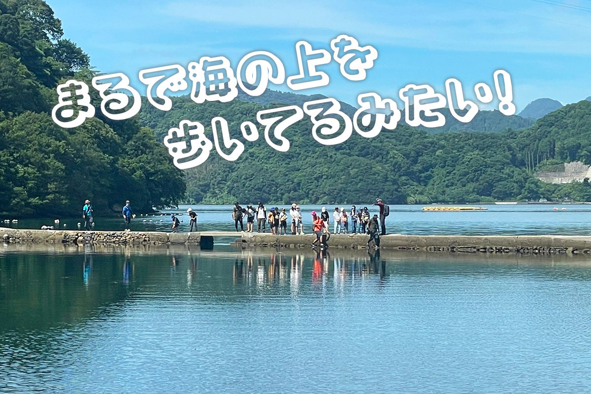 塩場を見学する子どもたち