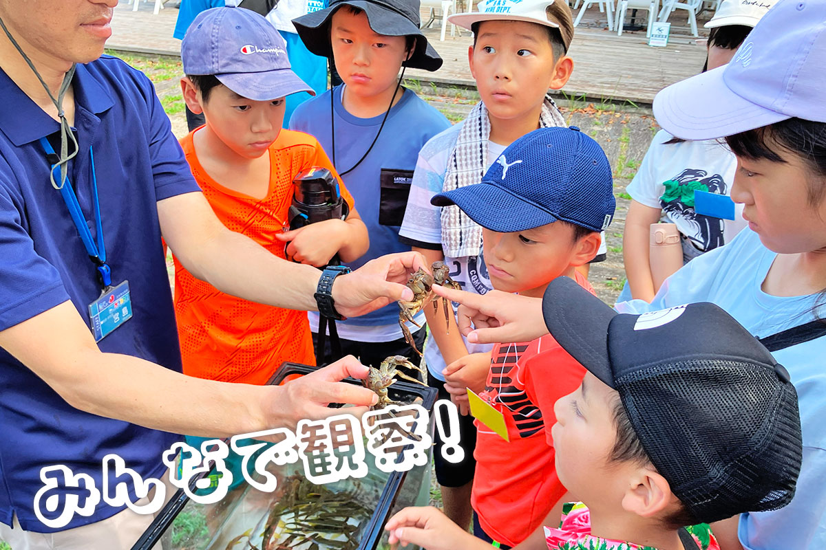 生き物を観察