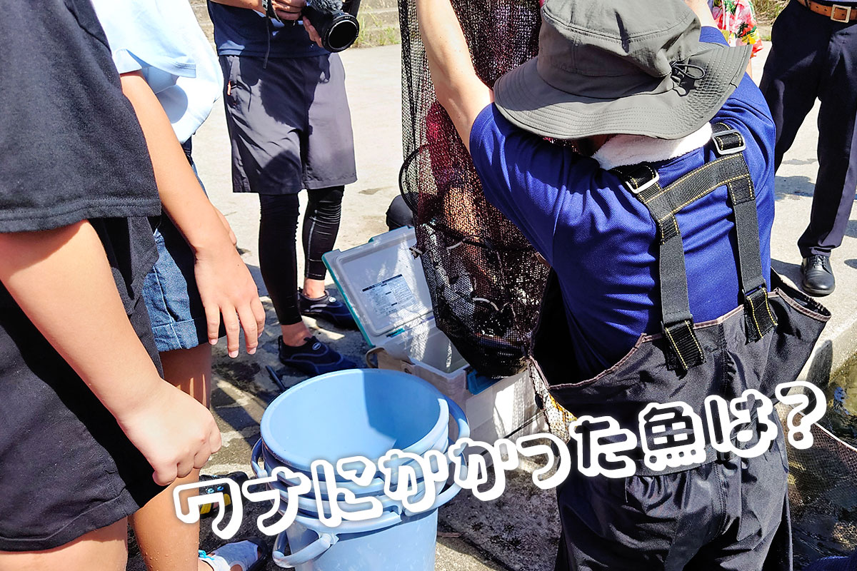 網を持ちあげる様子