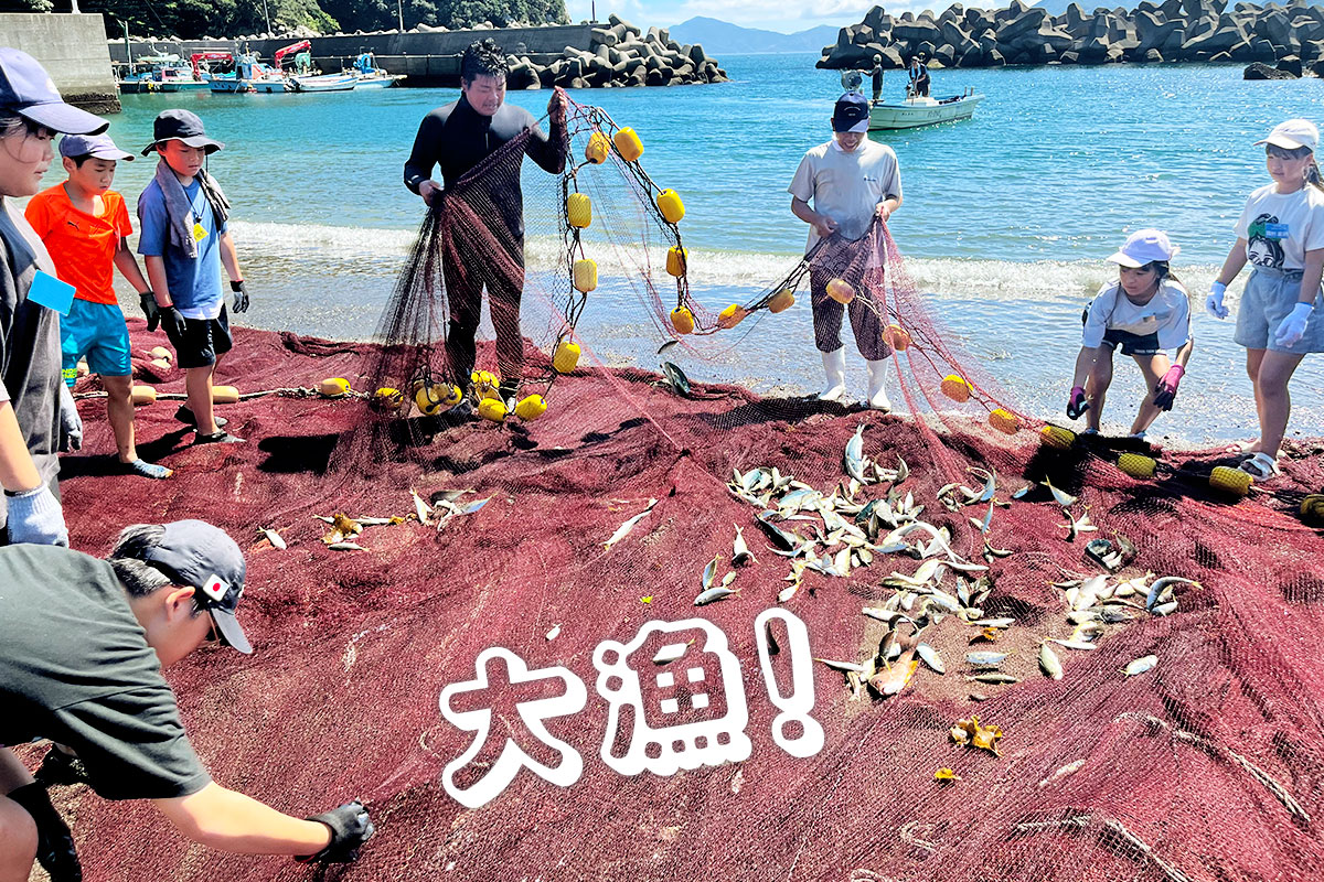 網にたくさんかかった魚