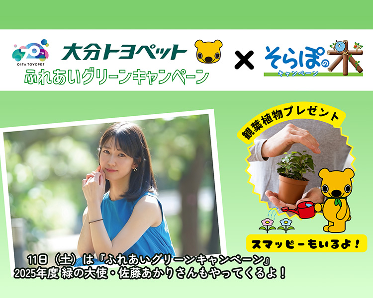 佐藤あかりさんと観葉植物のイメージ