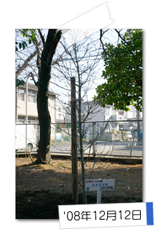 '08年12月12日