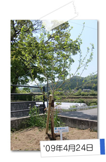 '09年4月24日