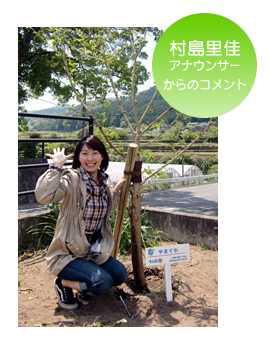村島里佳アナウンサーからのコメント