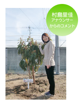 AiET[̃Rg