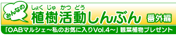 �uOAB�}���V�F�`���̂��C�ɓ���Vol.4�`�v�ϗt�A���v���[���g