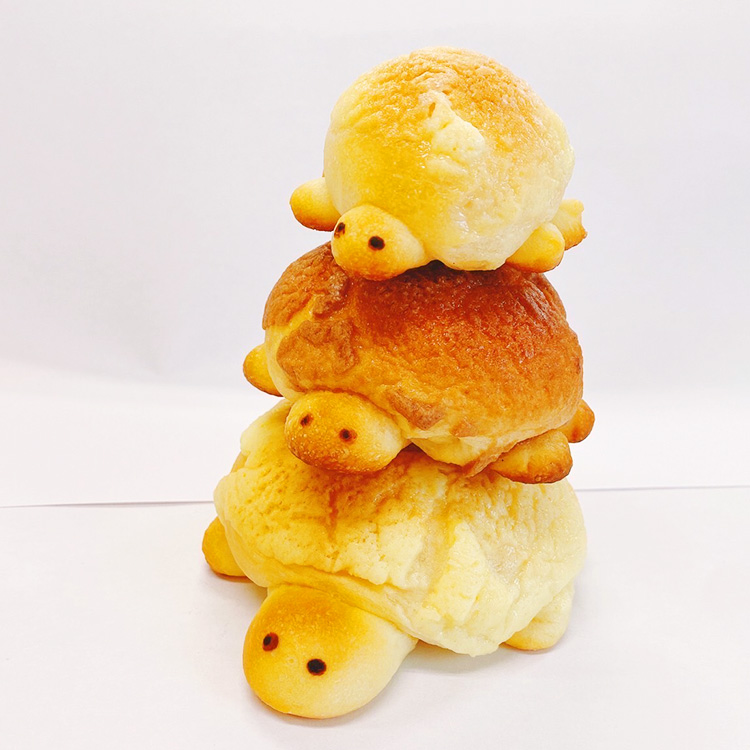 かめパン