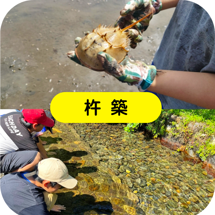 杵築