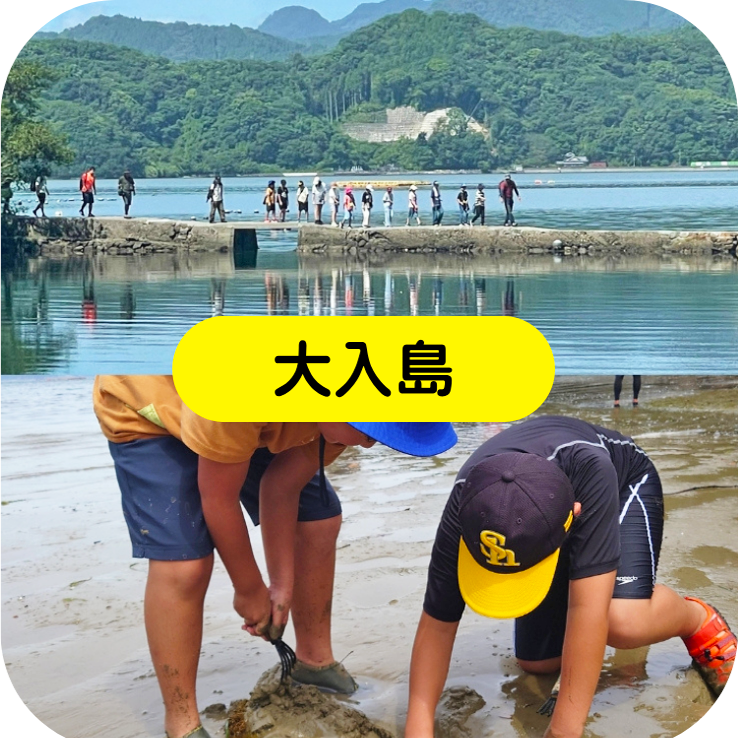 大入島
