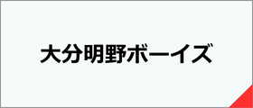 大分明野ボーイズ