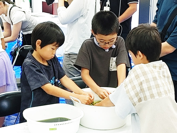 制作の様子