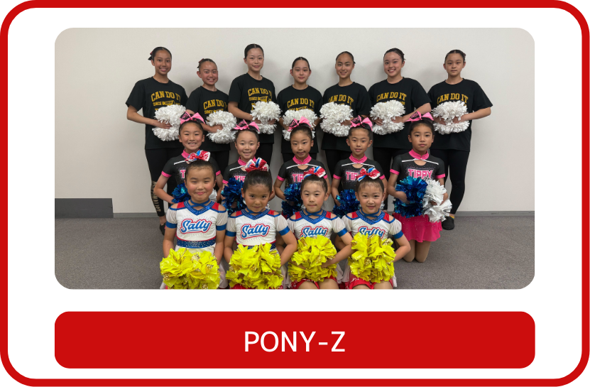PONY-Z