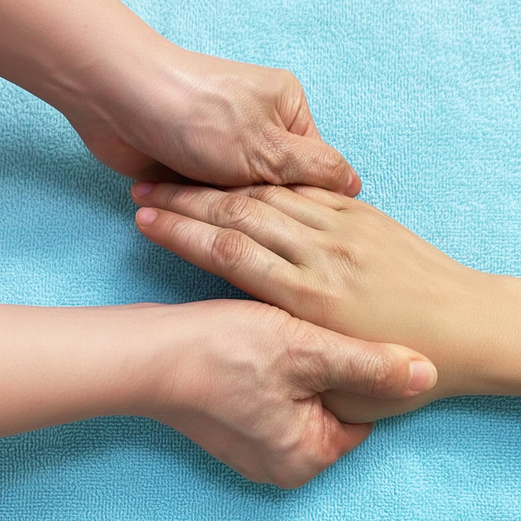 画像の説明を入れてください