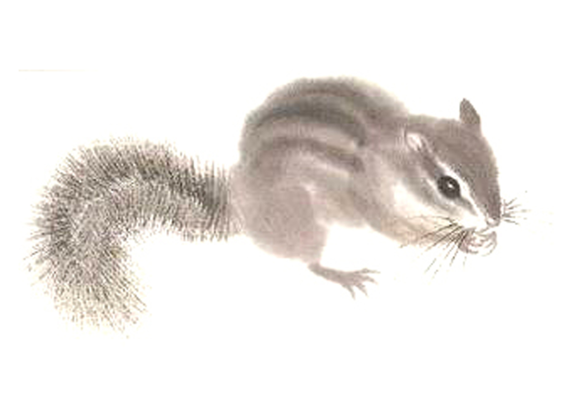 キャンドルホルダー