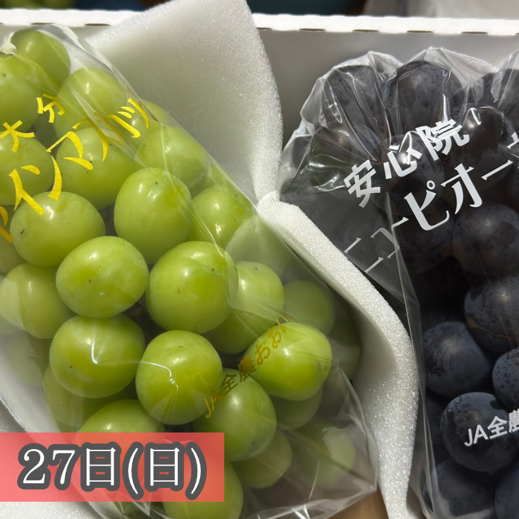 画像の説明を入れてください