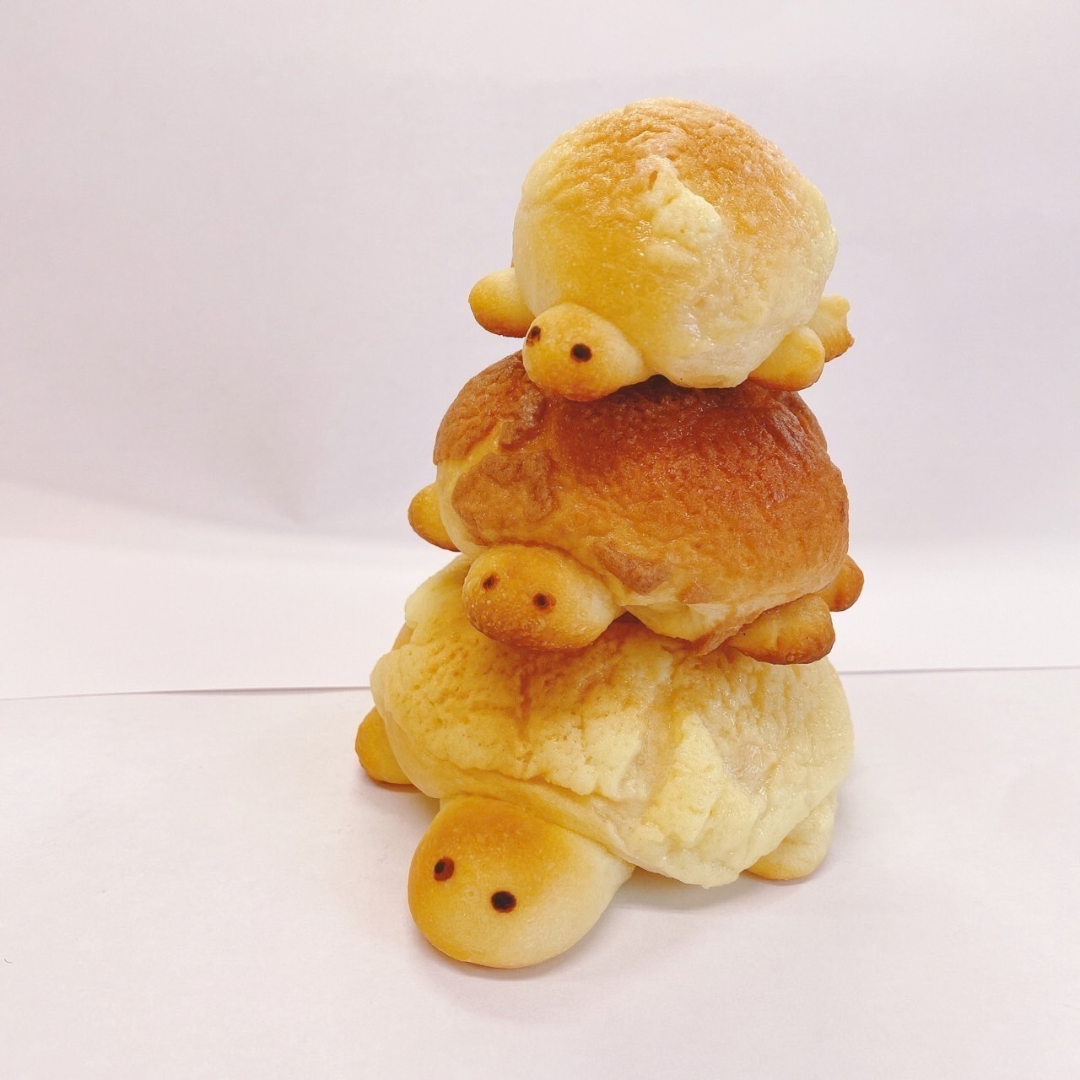 画像の説明を入れてください
