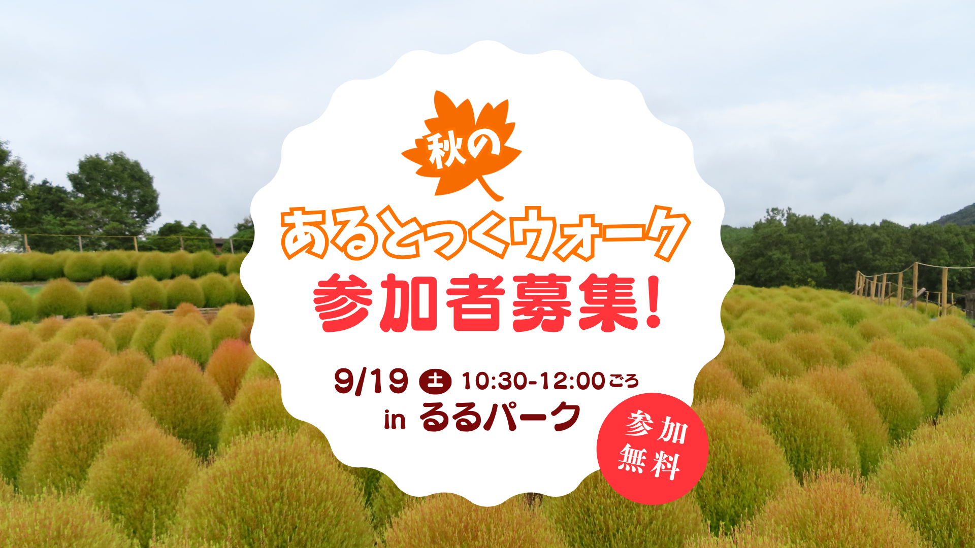 秋のあるとっくウォーク参加者募集